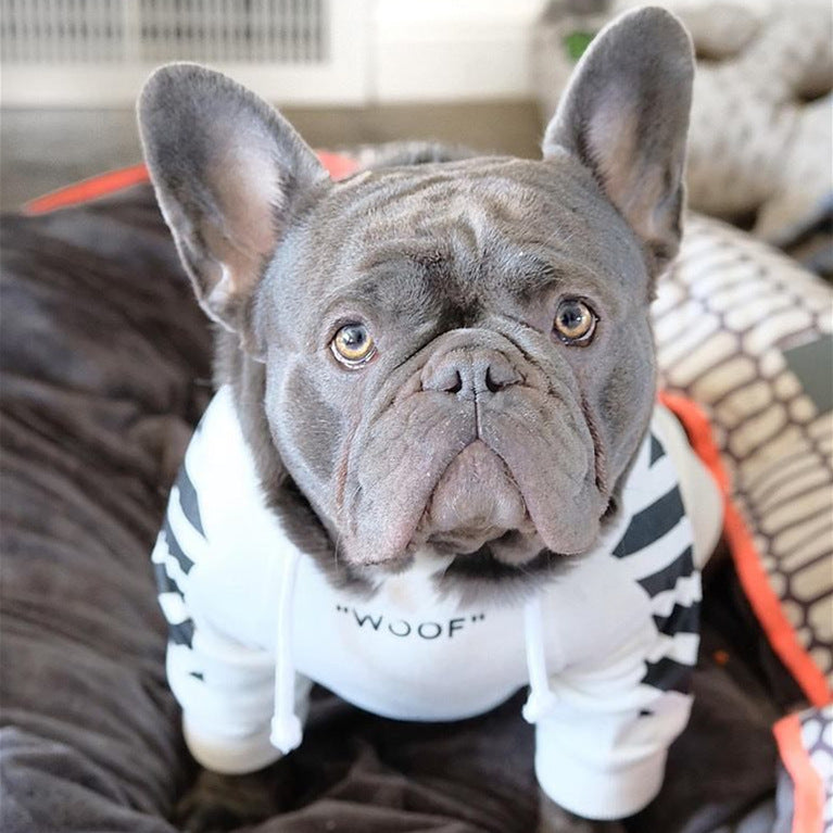 Pet Fashion Stripe Sweater Sports Clothes