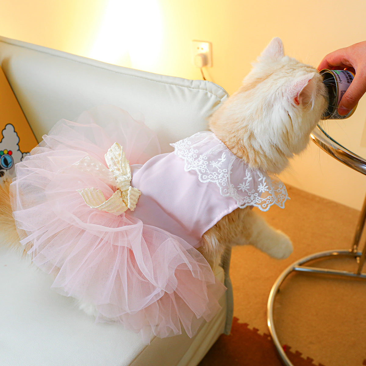 Pet Lace Clothes