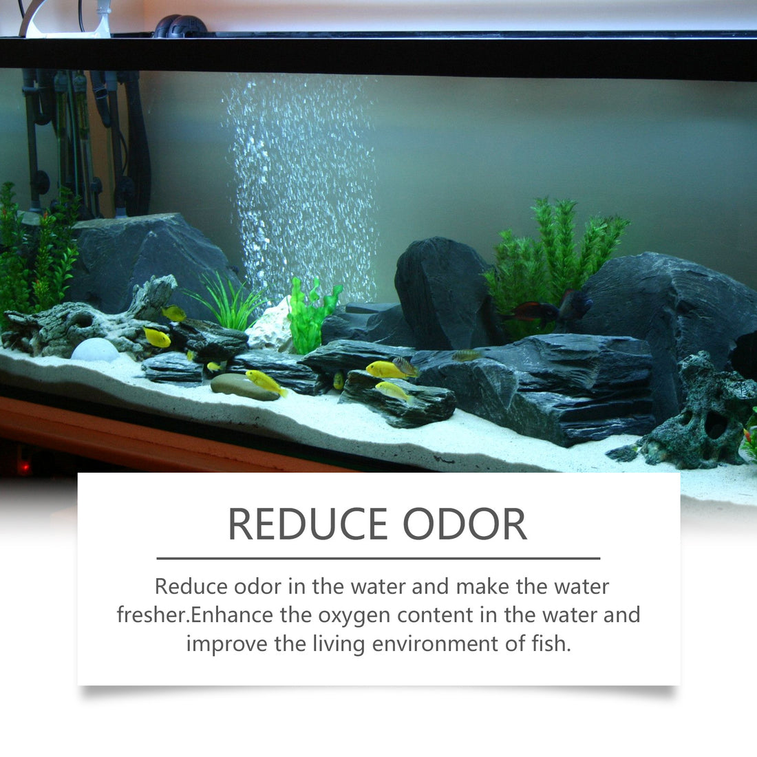 Water Decontamination Cleaner For Pet Tank Water Quality