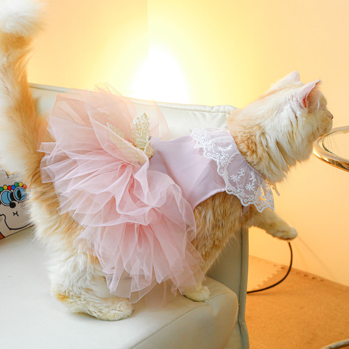 Pet Lace Clothes