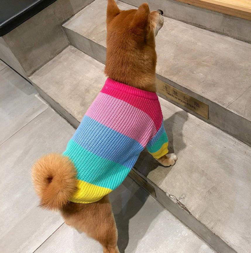 Pet Rainbow Sweater Clothes