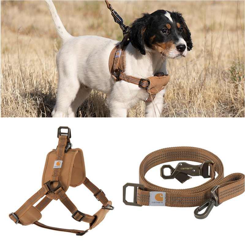 Pet Chest Strap Training Belt With Handheld Safety Control Rope