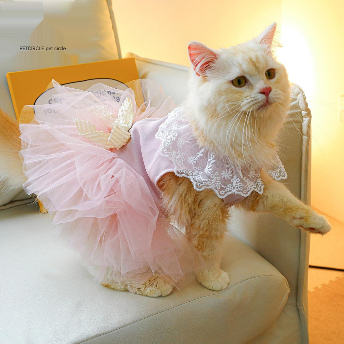 Pet Lace Clothes