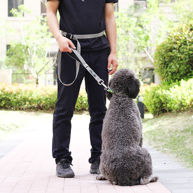 Multi-functional Traction Running Leash