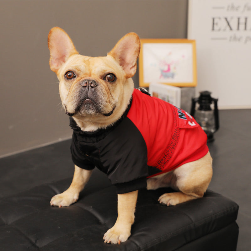 Autumn Winter Pet Clothing For Small Puppy Warmth And Comfort