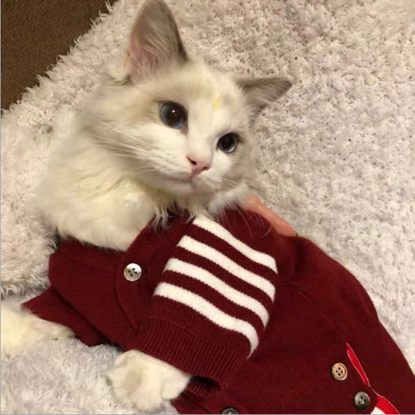 Pet Clothes