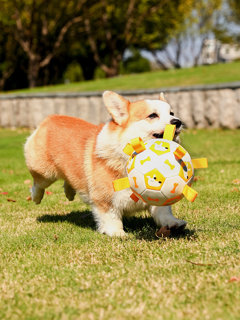 Pet Interactive Football Outdoor Molar Durable Long Lasting Toy