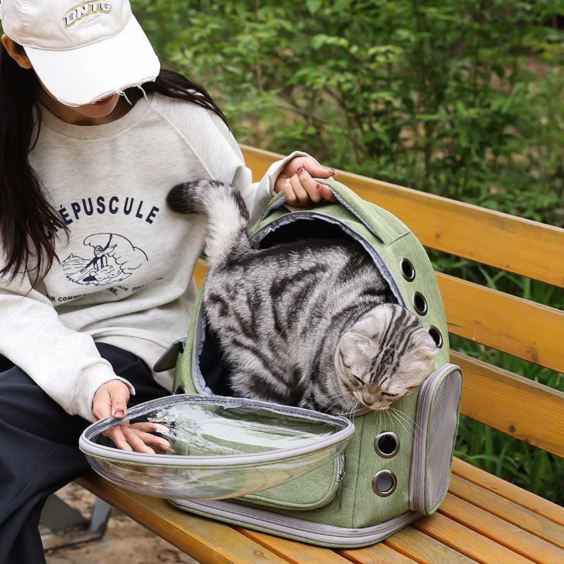 Portable Transparent Pet Backpack For Travel And Outdoor Use