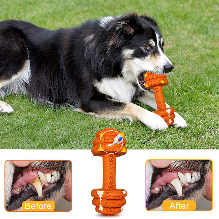 Durable Pet Chew Toy Food Grade Tooth Cleaning Interactive Toy Medium Large Pets