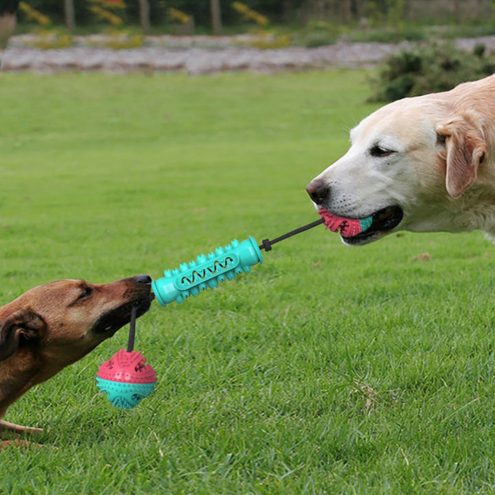 Pet Durable Chew Teeth Cleaning Chew Stick Toy