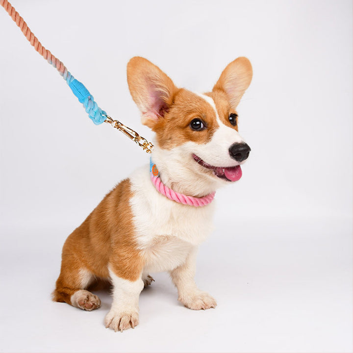 Woven Cotton Pet Leash And Collar Set For Comfortable Walking Control