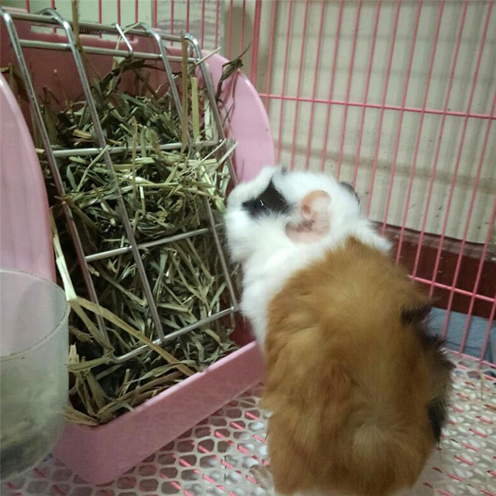 Grass Feeder For Pet Hay And Foraging System