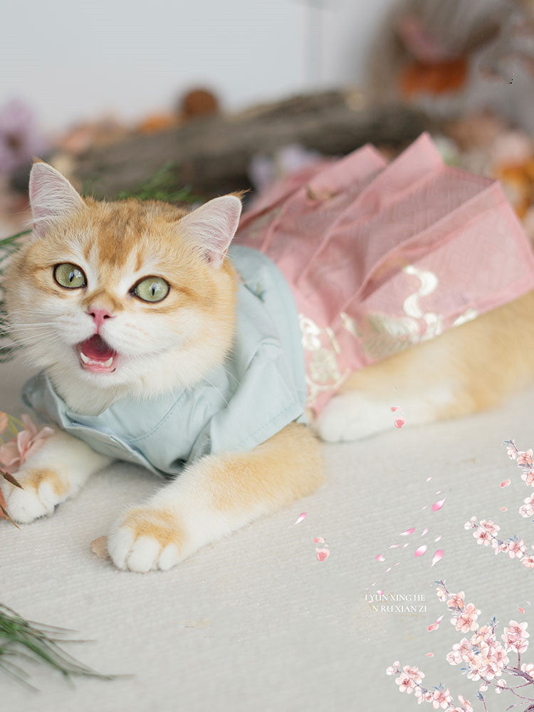 Pet Hanfu Style Skirt Clothes