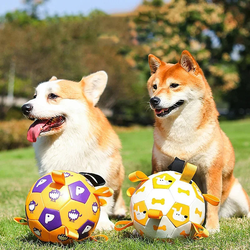 Pet Interactive Football Outdoor Training Bite Chew Teething Ball Toy