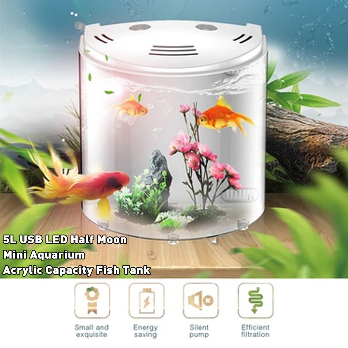 Ecological Acrylic Pet Tank Transparent Aquatic Habitat