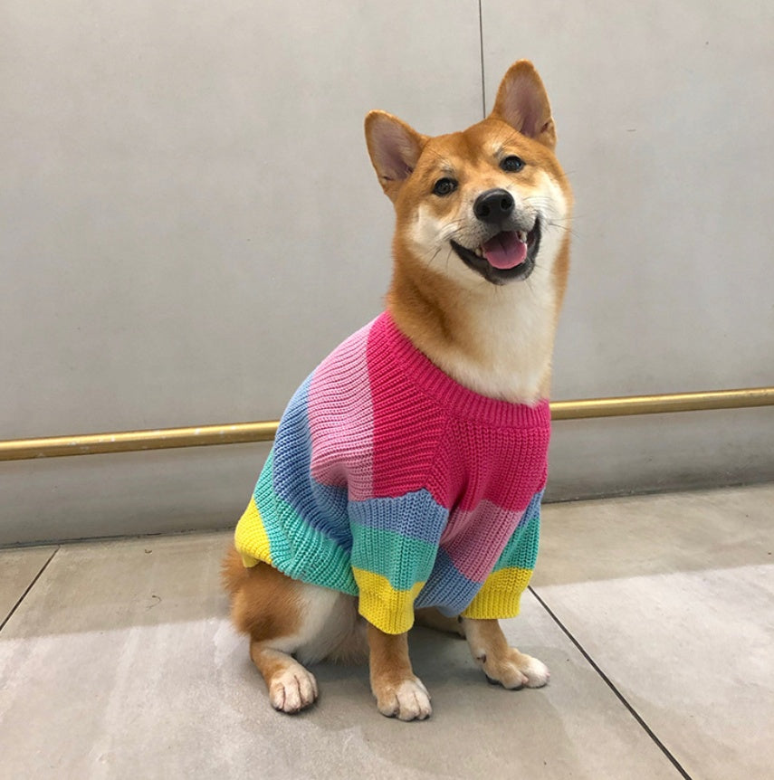 Pet Rainbow Sweater Clothes