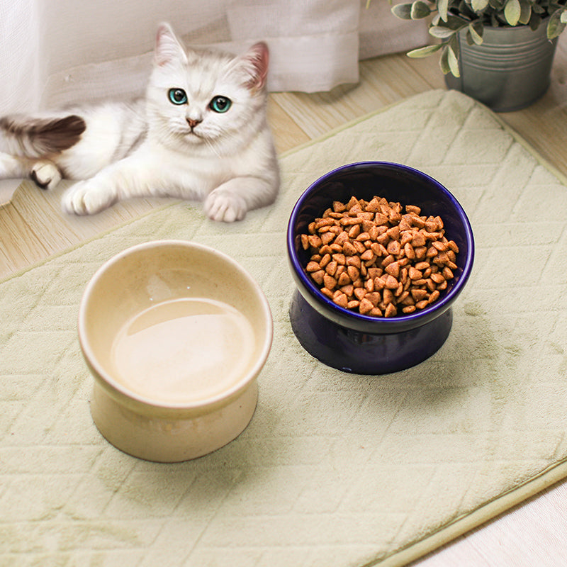 Pet Ceramic Neck Guard Bowl