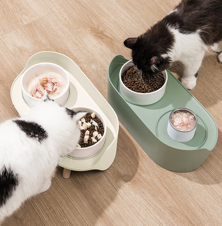 Pet Tilted Double Bowl Cervical Protection Spill Proof Feeder Bowl