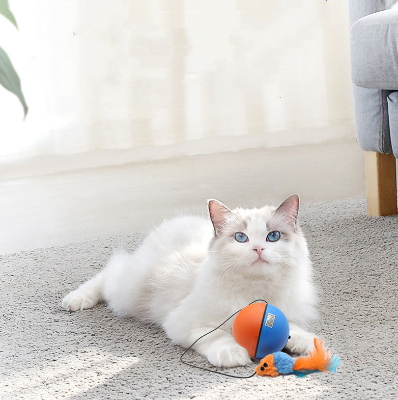 Automatic Intelligent Pet Tease Ball Teeth Grinding Interactive Toy