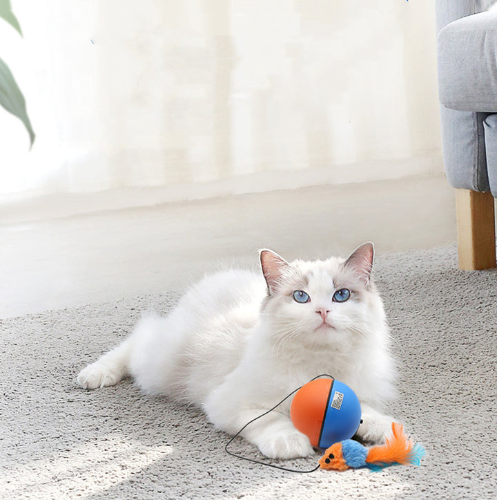 Automatic Intelligent Pet Tease Ball Teeth Grinding Interactive Toy