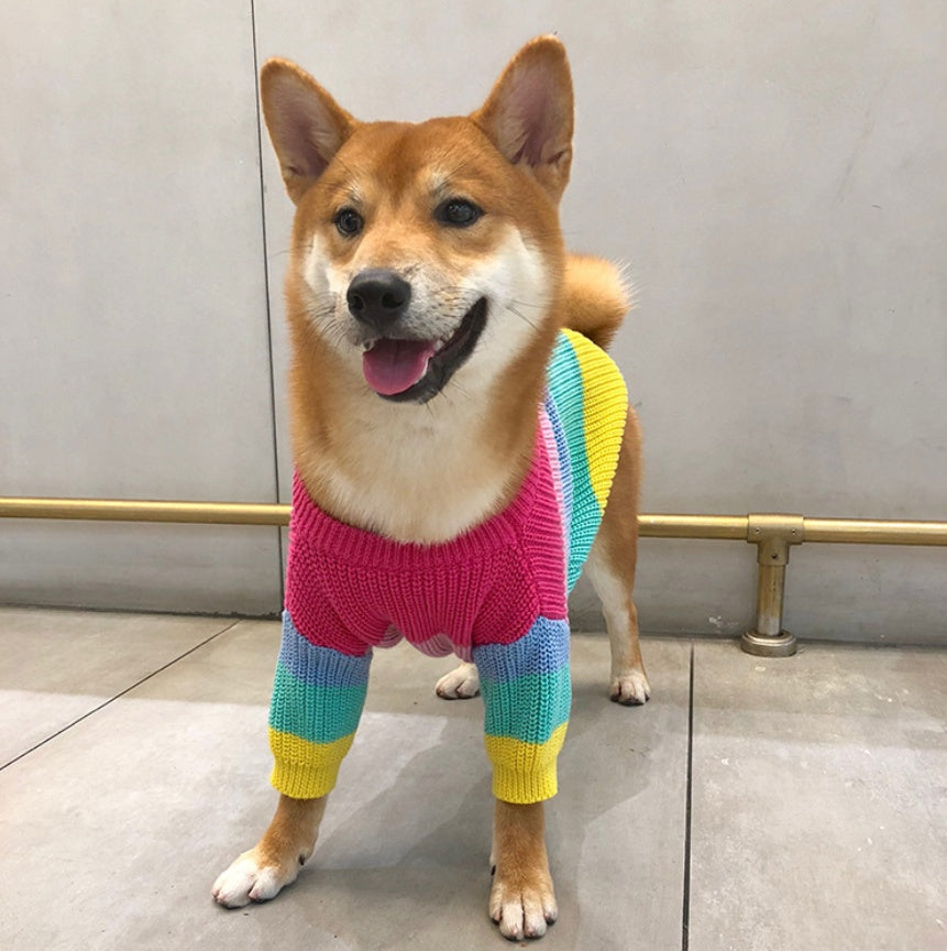 Pet Rainbow Sweater Clothes