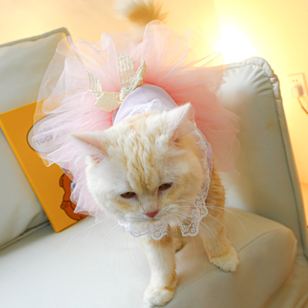 Pet Lace Clothes