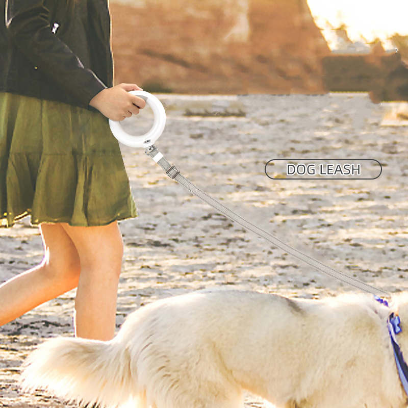 Pet Automatic Retractable Leash