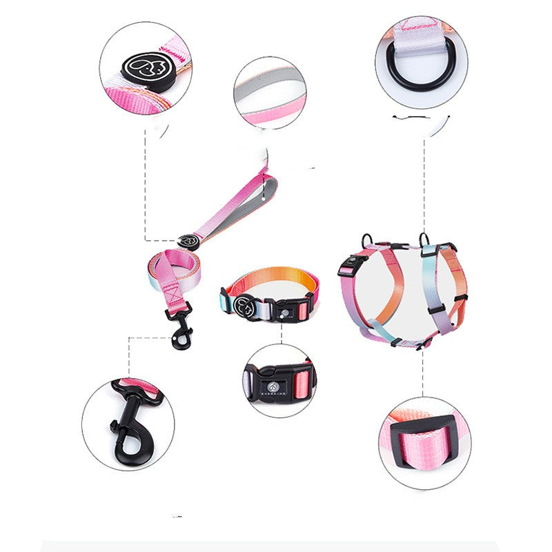 Gradient Color For Pet Chest Straps
