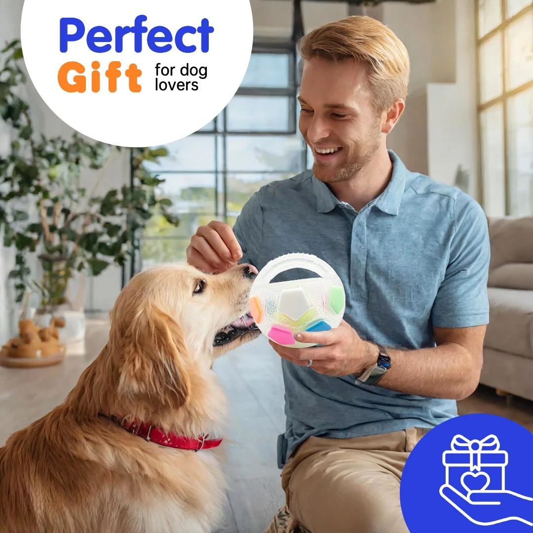 New Football Tennis Ball Shape Pet Toy Durable Teething Relief Outdoor Training Squeaky Toy