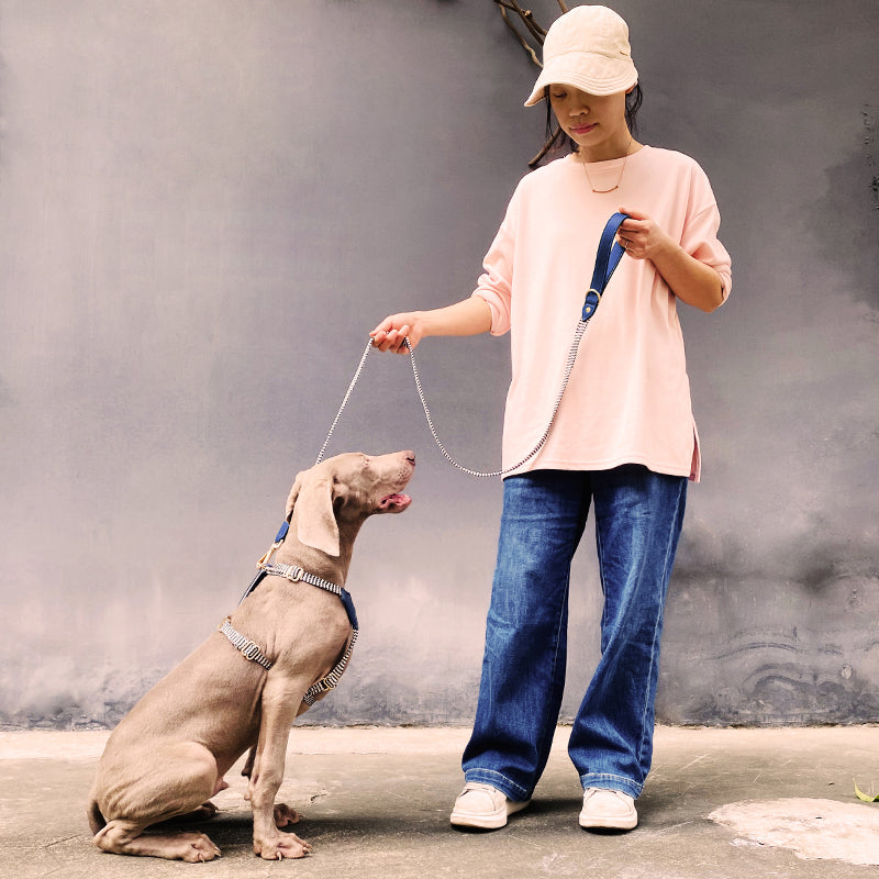 Pet Vest Style Hand Holding Rope Chest Strap Explosion Proof Collar Lettering