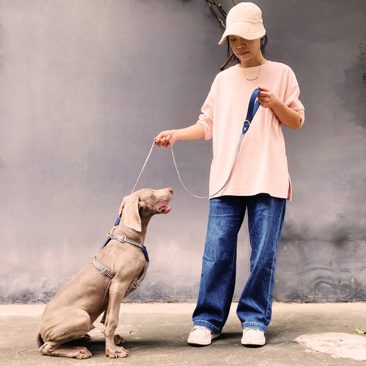 Pet Vest Style Hand Holding Rope Chest Strap Explosion Proof Collar Lettering