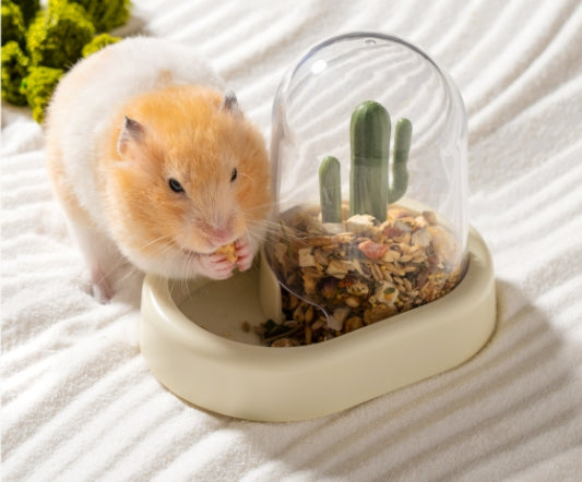 Creative Cactus Automatic Feeder For Pet Cage Food System