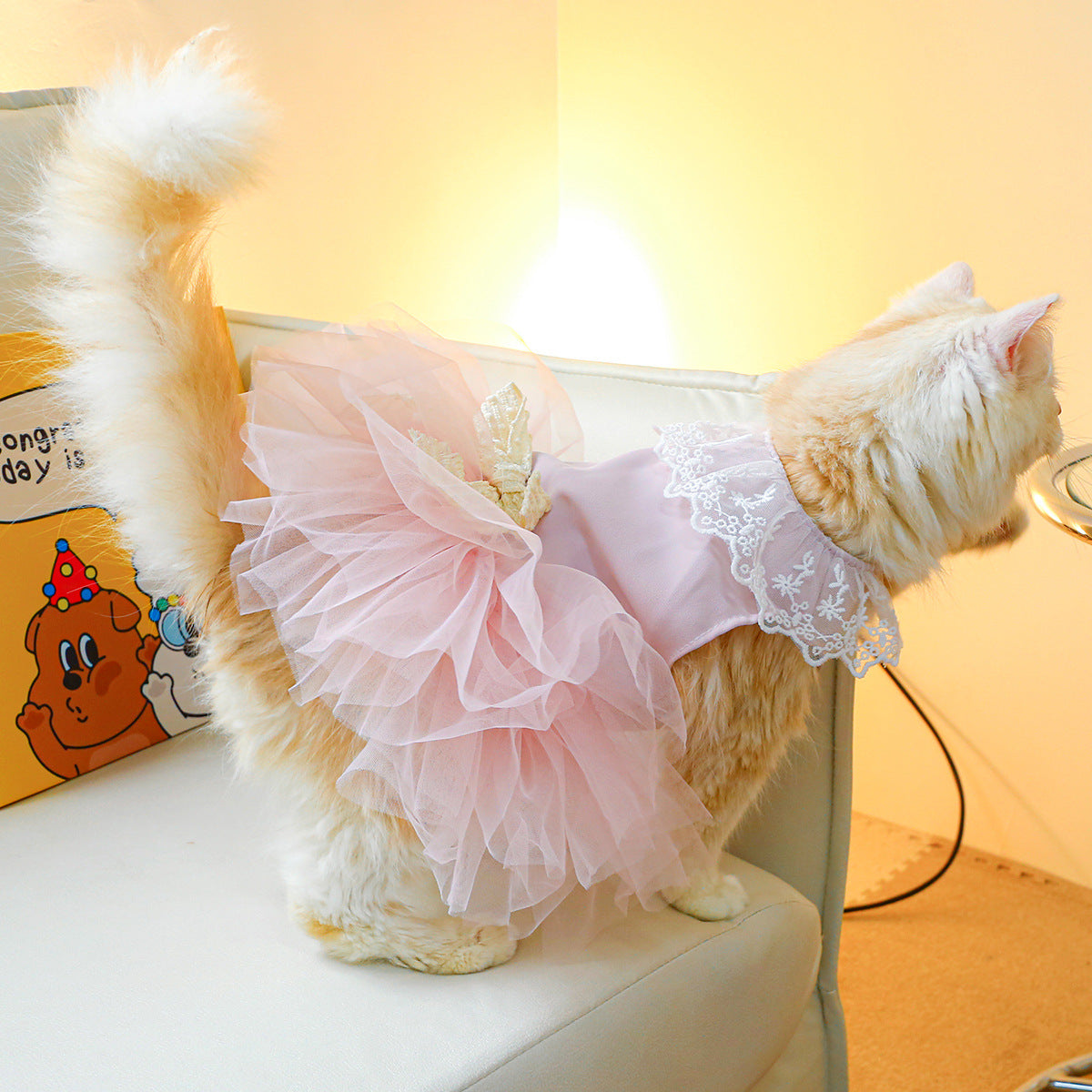 Pet Lace Clothes