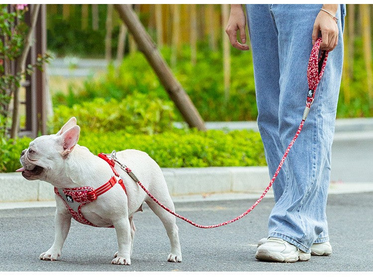 Outdoor Pet Floral Round Hand Holding Rope