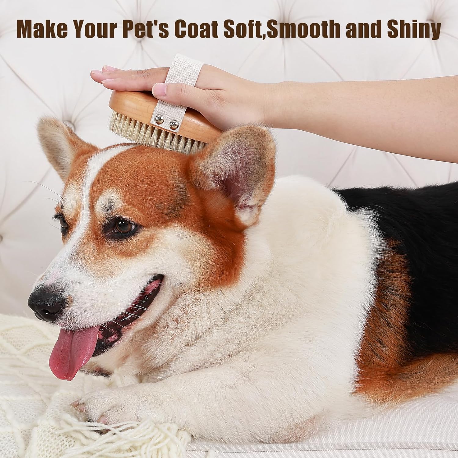 Soft Boar Bristle Pet Grooming Brush For Shedding Control And Daily Care