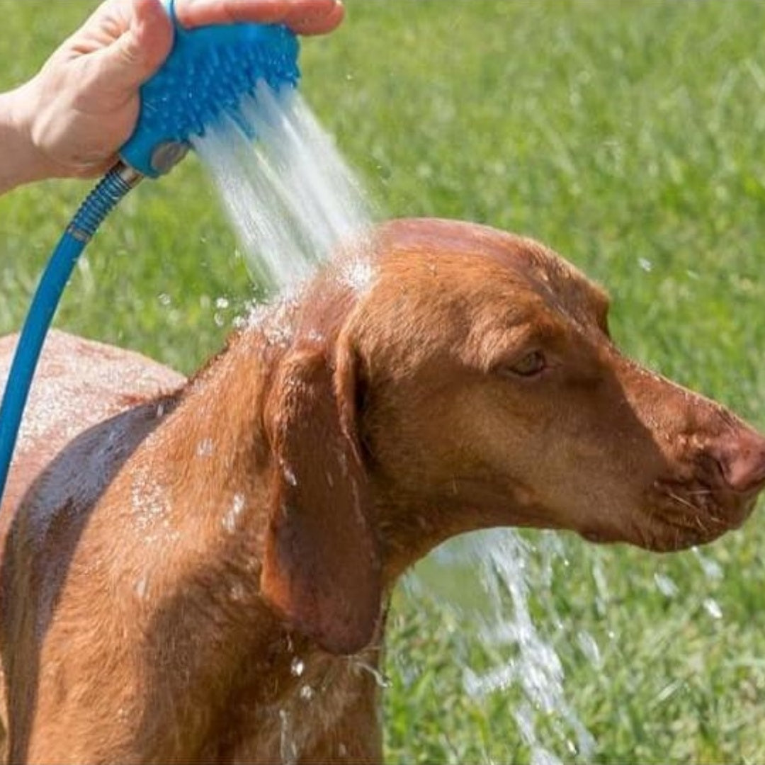 Pet Bathing Glove With Silicone Nozzle And Massage Shower Brush