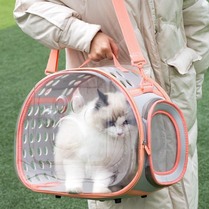 Pet Transparent Bag Space Capsule Backpack