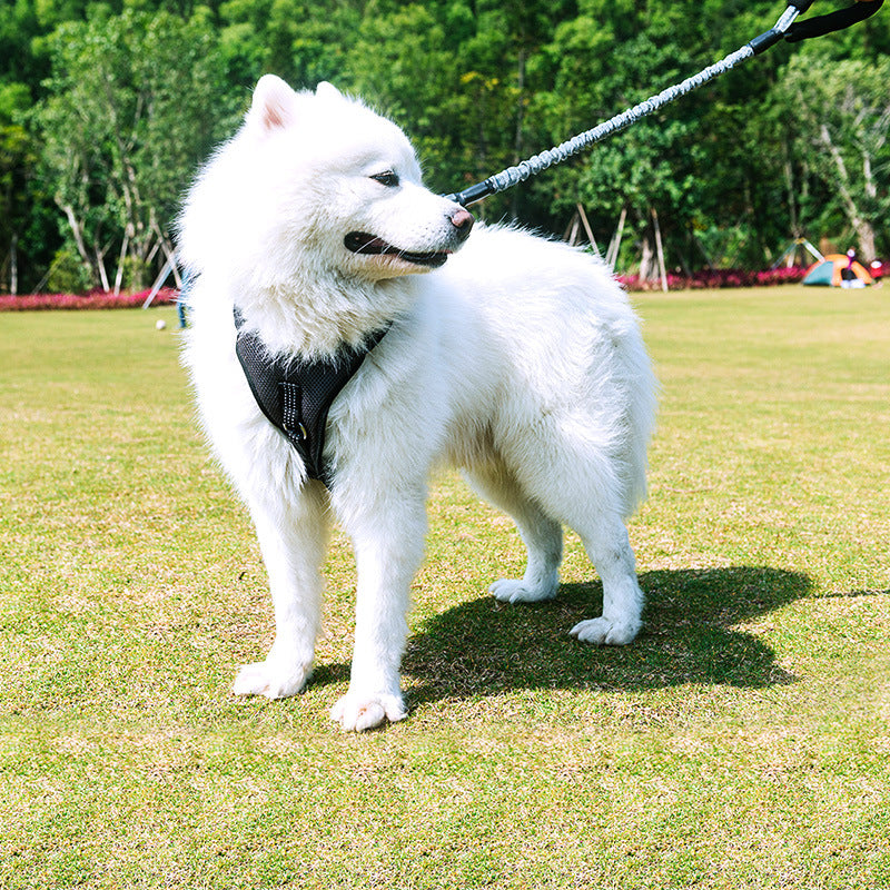 Pet Medium Walking Rope Leash