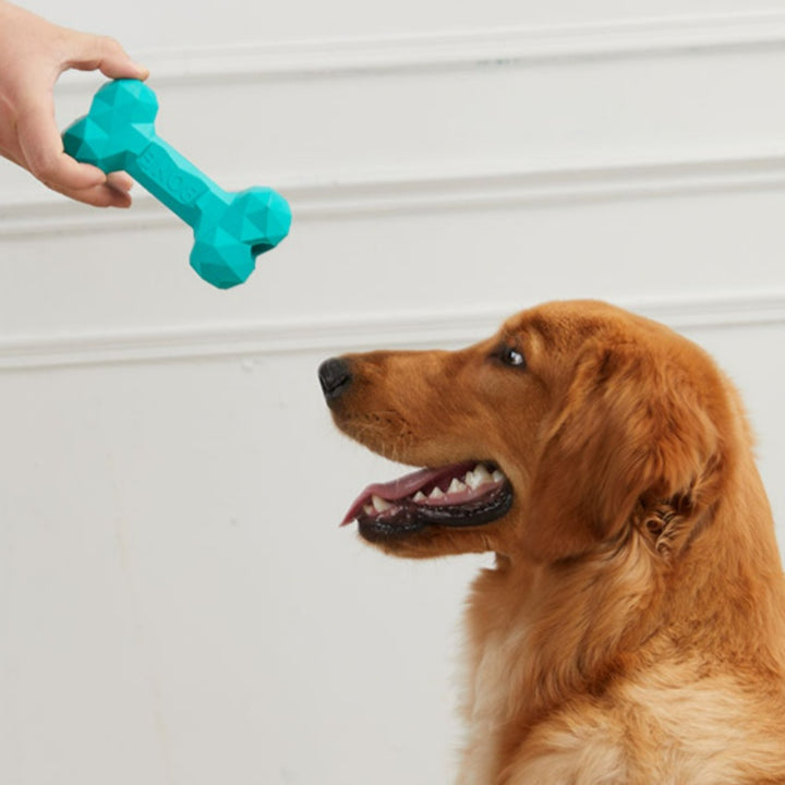 Pet Bite Resistant Rubber Bone Teeth Grinding Chew Toy