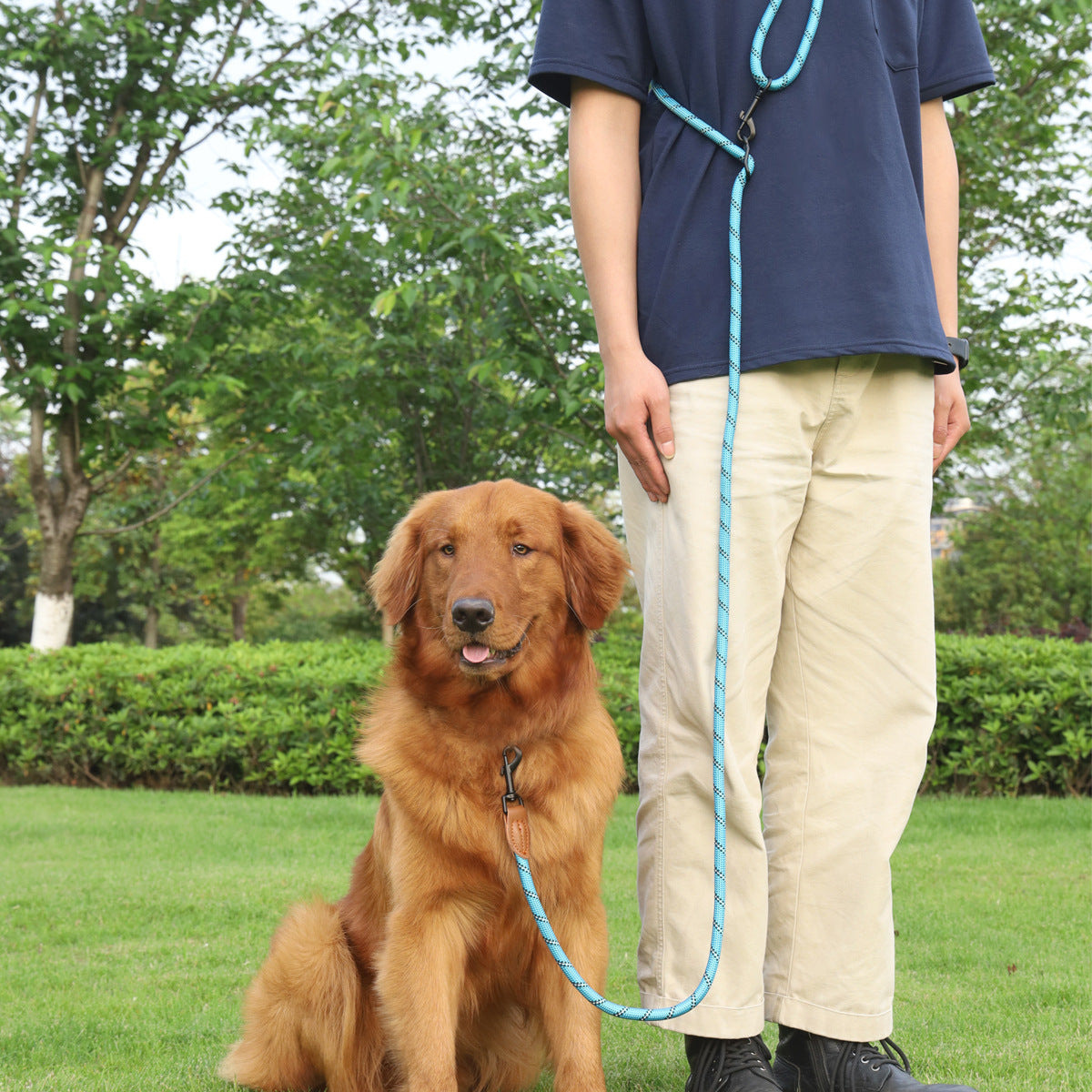 Pet Multifunctional Adjustable Reflective Hand Holding Rope