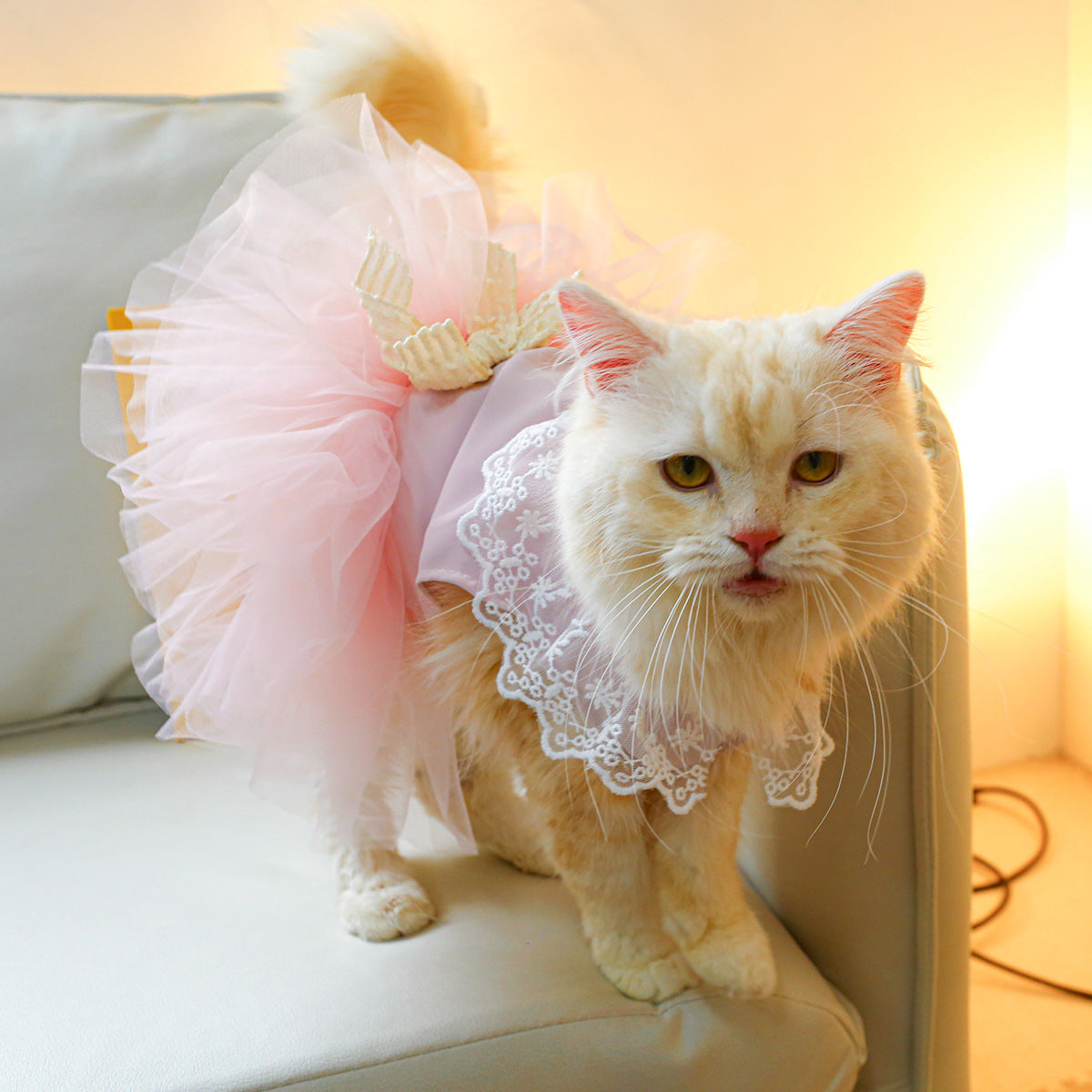 Pet Lace Clothes