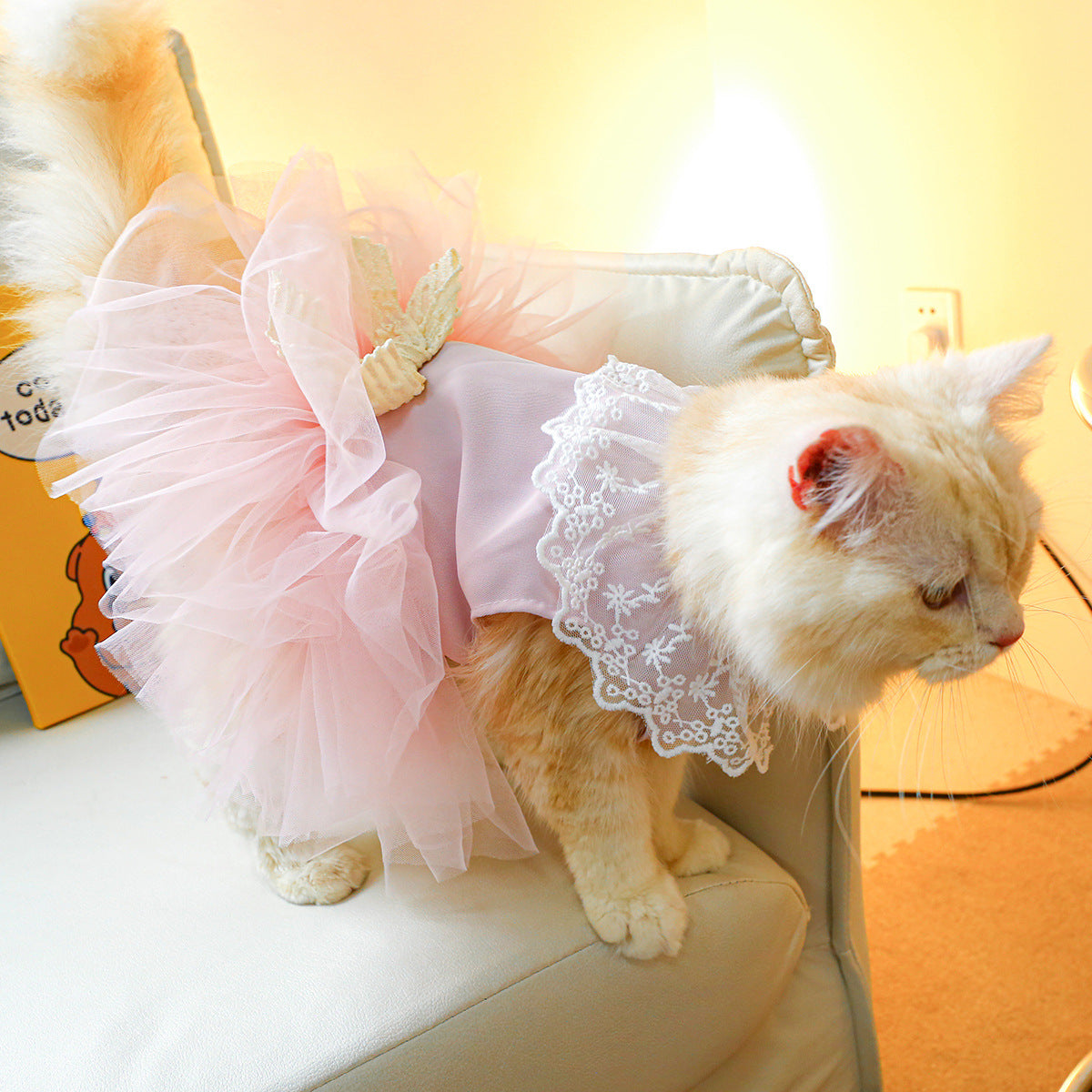 Pet Lace Clothes
