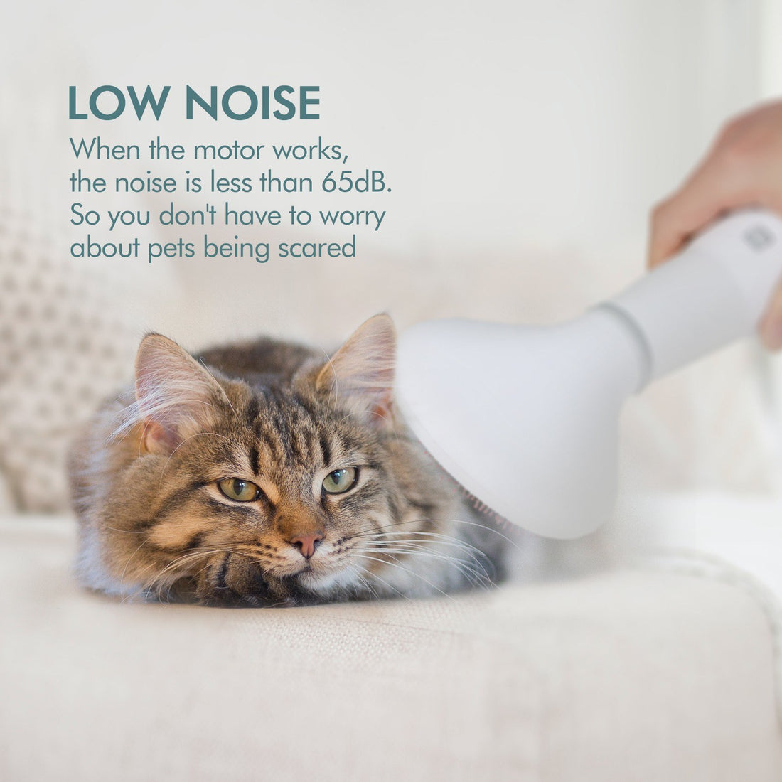 Pet Grooming Hair Dryer With Built-In Slicker Brush