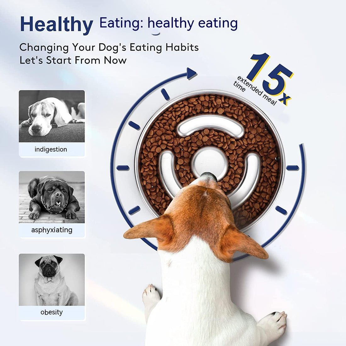 Stainless Steel Pet Slow Feeding Neck Protector Bowl