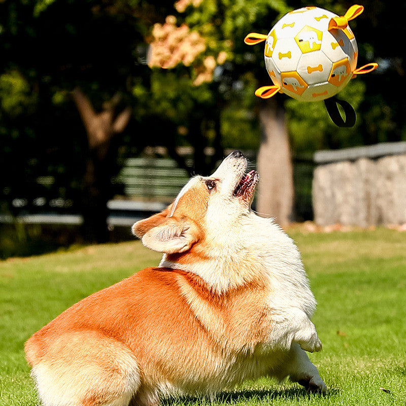 Pet Interactive Football Outdoor Molar Durable Long Lasting Toy