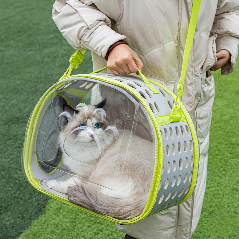 Pet Transparent Bag Space Capsule Backpack