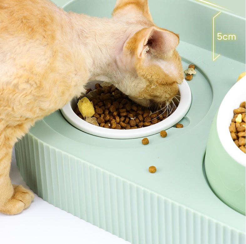 Pet Ceramic Cervical Spine Protection Food Bowl