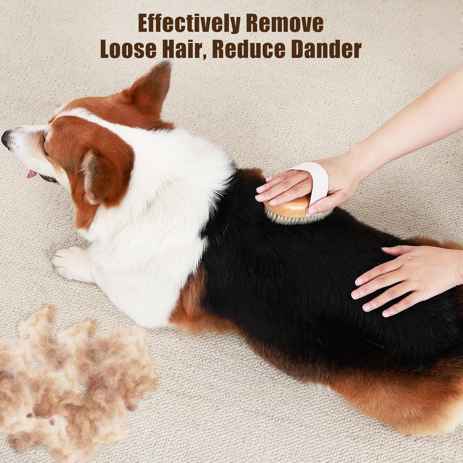 Soft Boar Bristle Pet Grooming Brush For Shedding Control And Daily Care