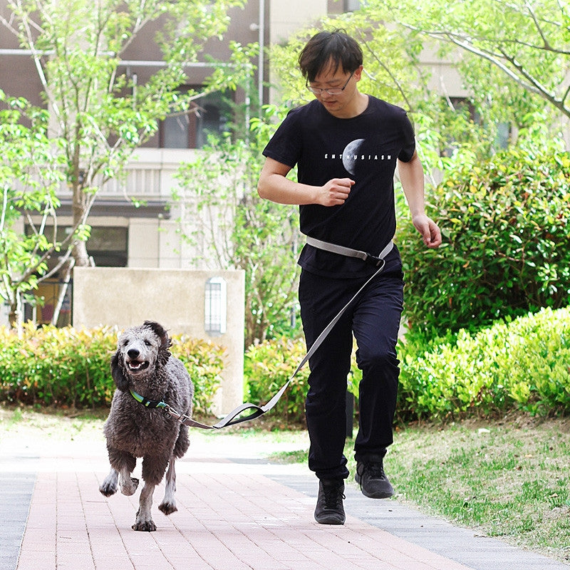 Multi-functional Traction Running Leash