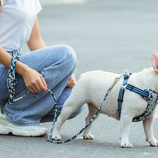 Outdoor Pet Floral Round Hand Holding Rope